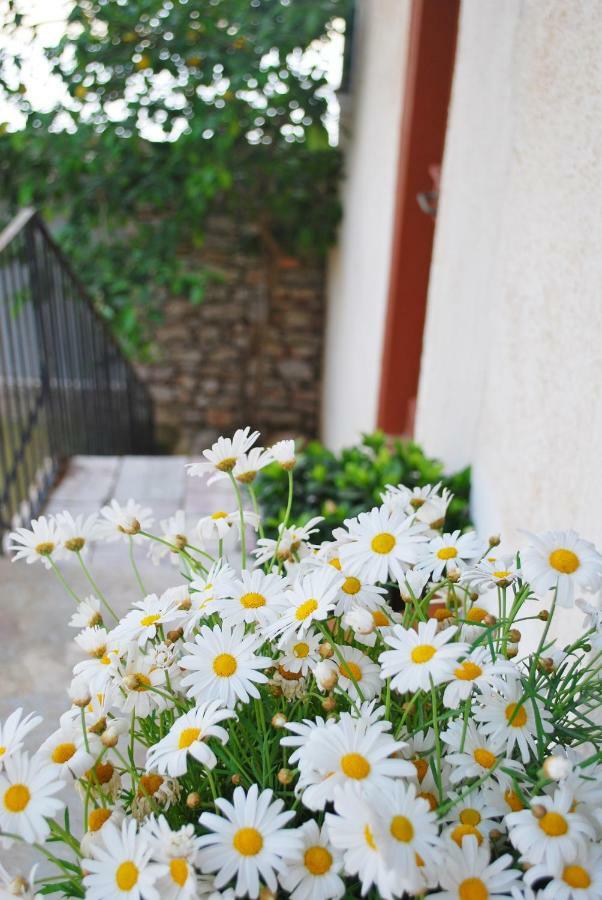 Villa "Pietra E Mare" Nafpaktos Екстериор снимка
